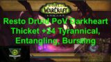 +24 Resto Druid PoV Darkheart Thicket TYRANNICAL ENTANGLING BURSTING World of Warcraft
