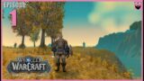 Let's Play World of Warcraft Dragonflight – In 2024 – Fresh Start Paladin – Part 1 – Chill Gameplay