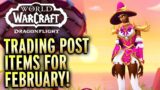 NEW Trading Post Items For February With CHEAP 2-Seater Mount!!! World of Warcraft Dragonflight