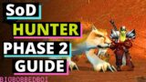 SoD P2 Hunter Things to Know and Advice for Phase 2 | World of Warcraft Classic Season of Discovery