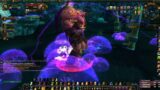 World of Warcraft ASMR Game Play 4K Ret Paladin in Heroic Pit of Saron