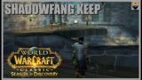 World of Warcraft Classic – SEASON OF DISCOVERY – SFK AND LEVEL 25 TODAY – 2/4/24