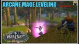 World of Warcraft Dragonflight Patch 10.2.5 – Arcane Mage Old World Zone Leveling – Chill Gameplay