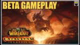 Let's Play World of Warcraft – CATACLYSM CLASSIC BETA – Chill Gameplay