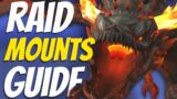 How to get ALL Raid Mounts in World of Warcraft – Wow Raid Mounts Guide