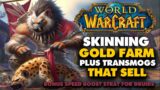 Skinning Gold Farm Plus Transmogs That Sell Well – World of Warcraft Gold Making Guide Dragonflight