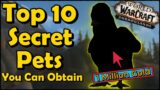 Top 10 Secret Pets You Can Obtain in World of Warcraft