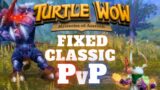 Turtle WoW – They fixed Classic PvP! [World of Warcraft]