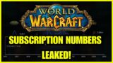 WoW Sub Numbers LEAKED! What is the future of World of Warcraft?