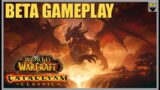 World of Warcraft – CATACLYSM CLASSIC BETA – Chill Gameplay