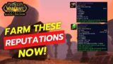 World of warcraft SOD reputation farm phase 2 | preparation for phase 3 and 4