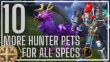 10 More Hunter Pet Tames for ALL 3 SPECS | World of Warcraft 10.2.5+