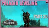 Let's Play World of Warcraft Dragonflight In 2024 – Fresh Start Paladin – Part 25 – Chill Gameplay