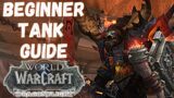 Beginner's Guide to Warrior Tank | World of Warcraft Dragonflight
