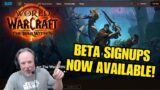 Beta Signups Now Available For The War Within – World of Warcraft News