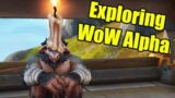 Exploring World of Warcraft the War Within Alpha
