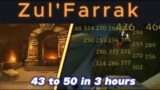 Hunter Solo Zul'Farrak I 300k+ xp per hour 80+ mobs I 10min/run Classic SoD