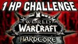 No Damage Run in World of Warcraft Hardcore?