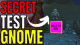 World Of Warcraft: SECRET Test Gnome Found Outside SkyReach!!