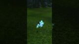 World Of Warcraft: The Everbloom Goldshire OOB #worldofwarcraft #gaming #wow #outofbounds #glitch