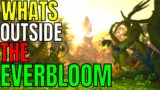 World Of Warcraft: Whats Outside The Everbloom?