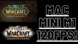 World of Warcraft 120 FPS on Mac Mini M1