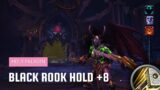 World of Warcraft: Dragonflight | Mythic Black Rook Hold +8 | Holy Paladin