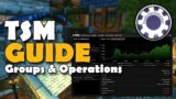 Beginners TSM Guide Basic Groups & Operations World of Warcraft