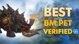 Best BM Hunter PVE Pet | World of Warcraft: Dragonflight Season 4