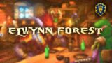 Elwynn Forest but it's lofi ~ World of Warcraft Lofi Beats