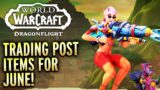 NEW Trading Post Items For June! World of Warcraft Dragonflight