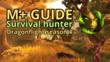 Season 4 Survival hunter M+ guide | Dragonflight | World of warcraft