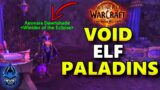 Void Elf Paladins Have Been Found & MORE Coming In The War Within – World of Warcraft NEWS/UPDATES