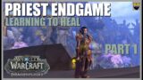 World of Warcraft Dragonflight Priest ENDGAME – Learning to Heal Endgame