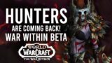 Hunters Are Looking INSANE In The War Within Beta! This Class Is BACK With A New Talent Revamp