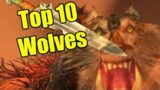 Pointless Top 10: Wolves in World of Warcraft