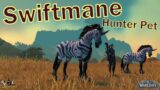 Swiftmane – World of Warcraft Hunter Pet Guide: Finding and Taming – ep 107