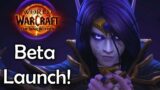 THE WAR WITHIN BETA!! | World Of Warcraft