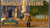 World of Warcraft CLASSIC ERA – Warrior Part 1 – Trying NOT TO DIE – The Most Vanilla Stream Ever