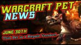 Battle Pet News – June 30th – World of Warcraft!