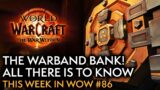 Making The Best Use Of The Warbank! This Week In Warcraft #86