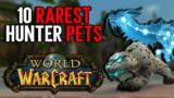 Top 10 Rarest Hunter Pets in World of Warcraft – Can You Tame Them All?