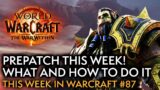 What To Expect Day One Of The War Within Prepatch – This Week In Warcraft #87