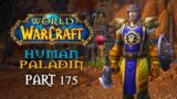 World of Warcraft Playthrough | Part 175: Bombs Away | Human Paladin