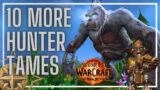 Another 10 Hunter Pets to Tame in World of Warcraft | 11.0+