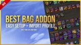 Best Bag AddOn (Easy Setup + Import Profile) – World of Warcraft: The War Within