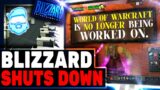 Blizzard COLLAPSES Work HALTS On World Of Warcraft & Developers Blame Gamers For Toxic Work Lawsuit