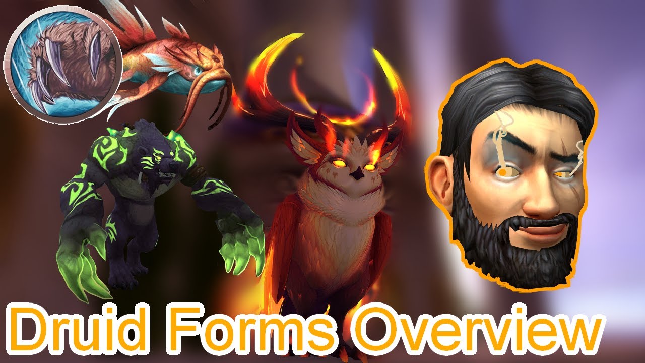 How to Obtain ALL Druid Forms! | World of Warcraft Class Guides - World ...