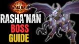 Rasha'nan Raid Boss Guide | Nerub-ar Palace Raid World of Warcraft The War Within