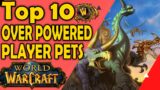 Top 10 Over Powered Player Pets in World of Warcraft